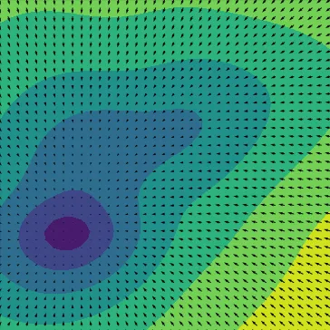 The vector field of the score function of a gaussian distribution.